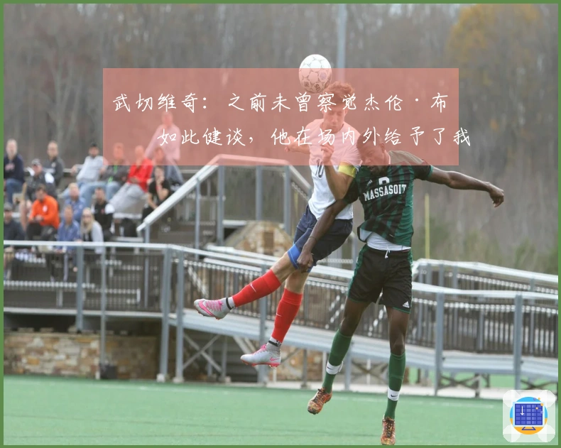 武切维奇：之前未曾察觉杰伦·布朗如此健谈，他在场内外给予了我很多帮助