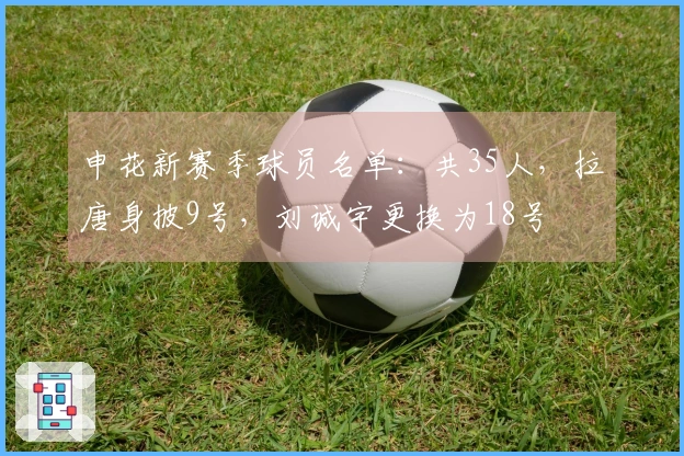 申花新赛季球员名单：共35人，拉唐身披9号，刘诚宇更换为18号