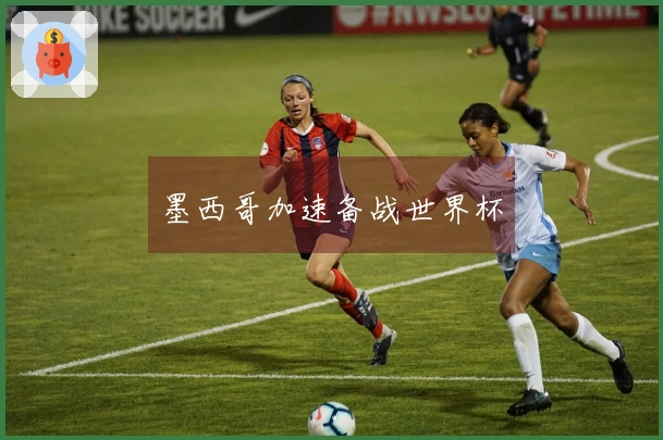 墨西哥加速备战世界杯