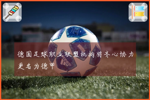 德国足球职业联盟机构将齐心协力更名为德甲
